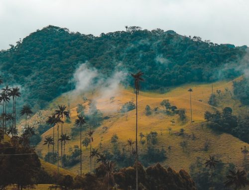 Bodas y Eventos en el Quindío: Salones, Fincas y Espacios en el Eje Cafetero