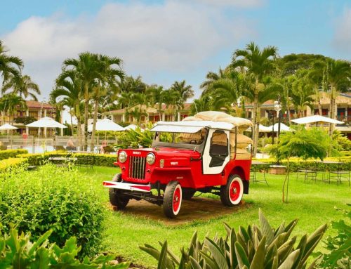 Turismo rural en Quindío: fincas cafeteras y experiencias auténticas
