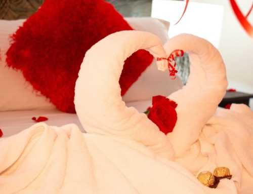 Escapada romántica en finca cafetera en Quindío: ideas para una pareja